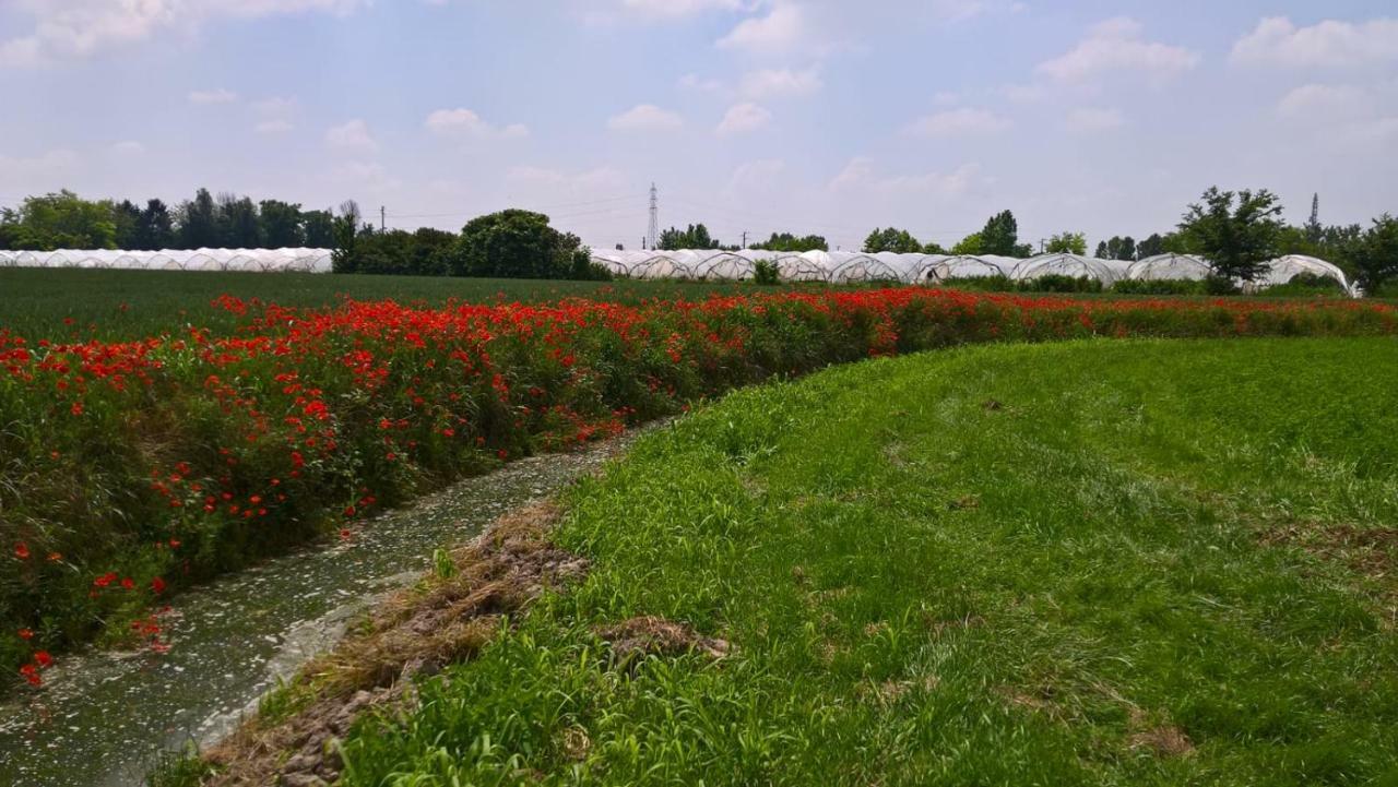 Agriturismo Cipolli e Podò Corte Carlini Mantova Esterno foto
