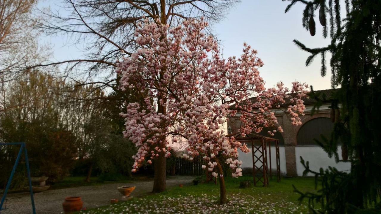 Agriturismo Cipolli e Podò Corte Carlini Mantova Esterno foto