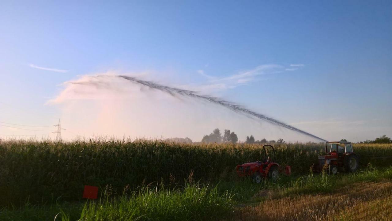Agriturismo Cipolli e Podò Corte Carlini Mantova Esterno foto