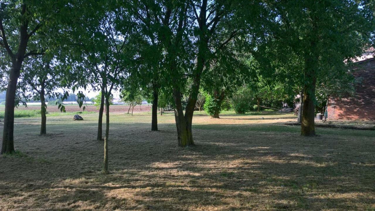 Agriturismo Cipolli e Podò Corte Carlini Mantova Esterno foto
