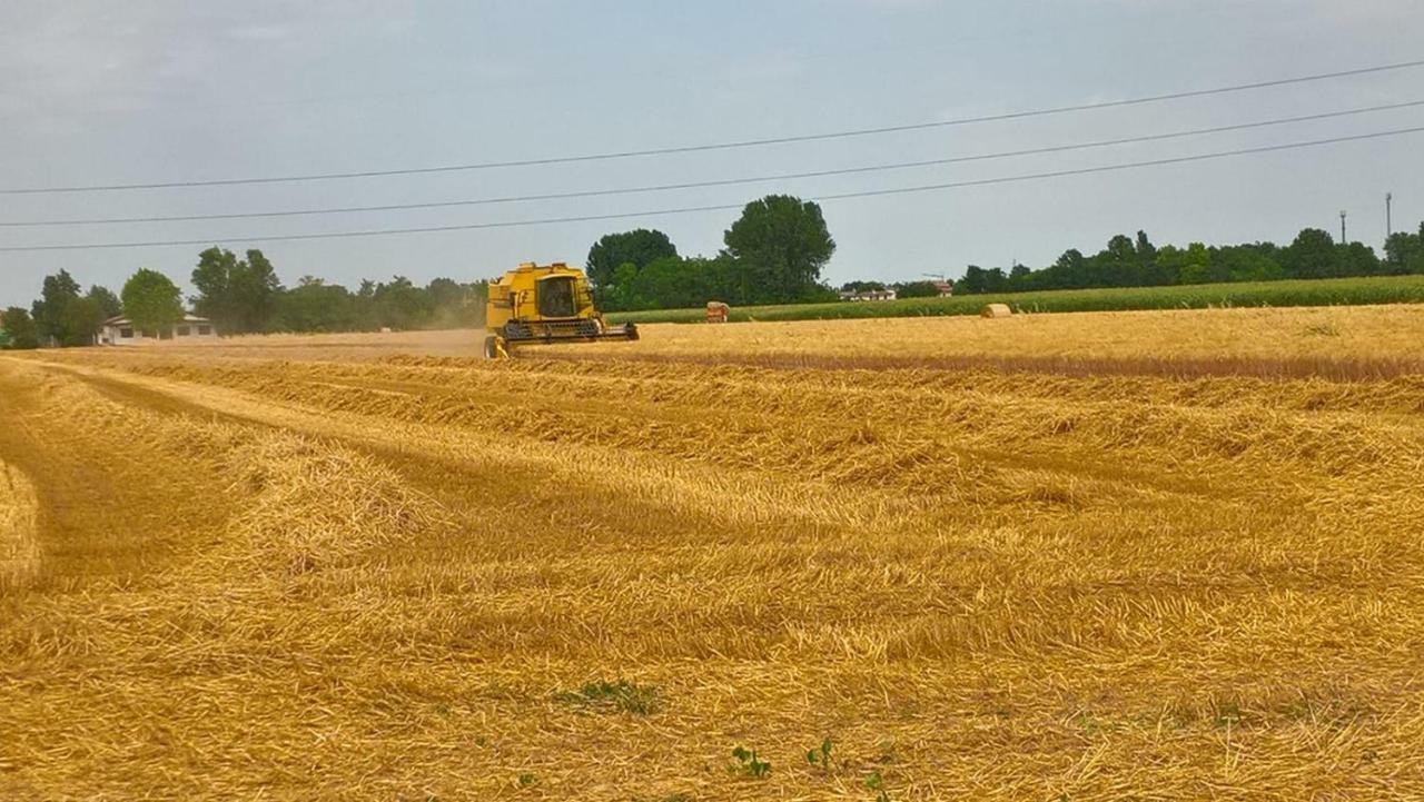 Agriturismo Cipolli e Podò Corte Carlini Mantova Esterno foto